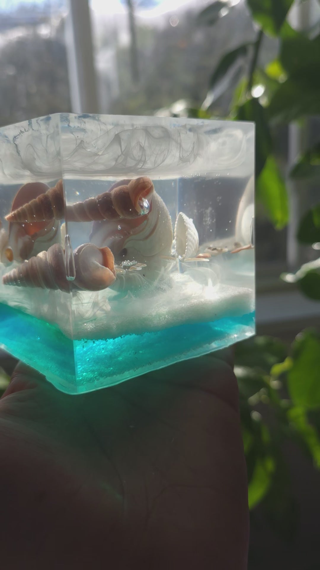 Sea Shells In the Sea - Ocean Display Cube - 4x4x3